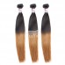 Stema 1B/30 Ombre Color Straight Raw Hair Bundles