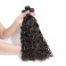 Stema Virgin Water Wave Hair With 4X4 Transparent & HD Lace Closure